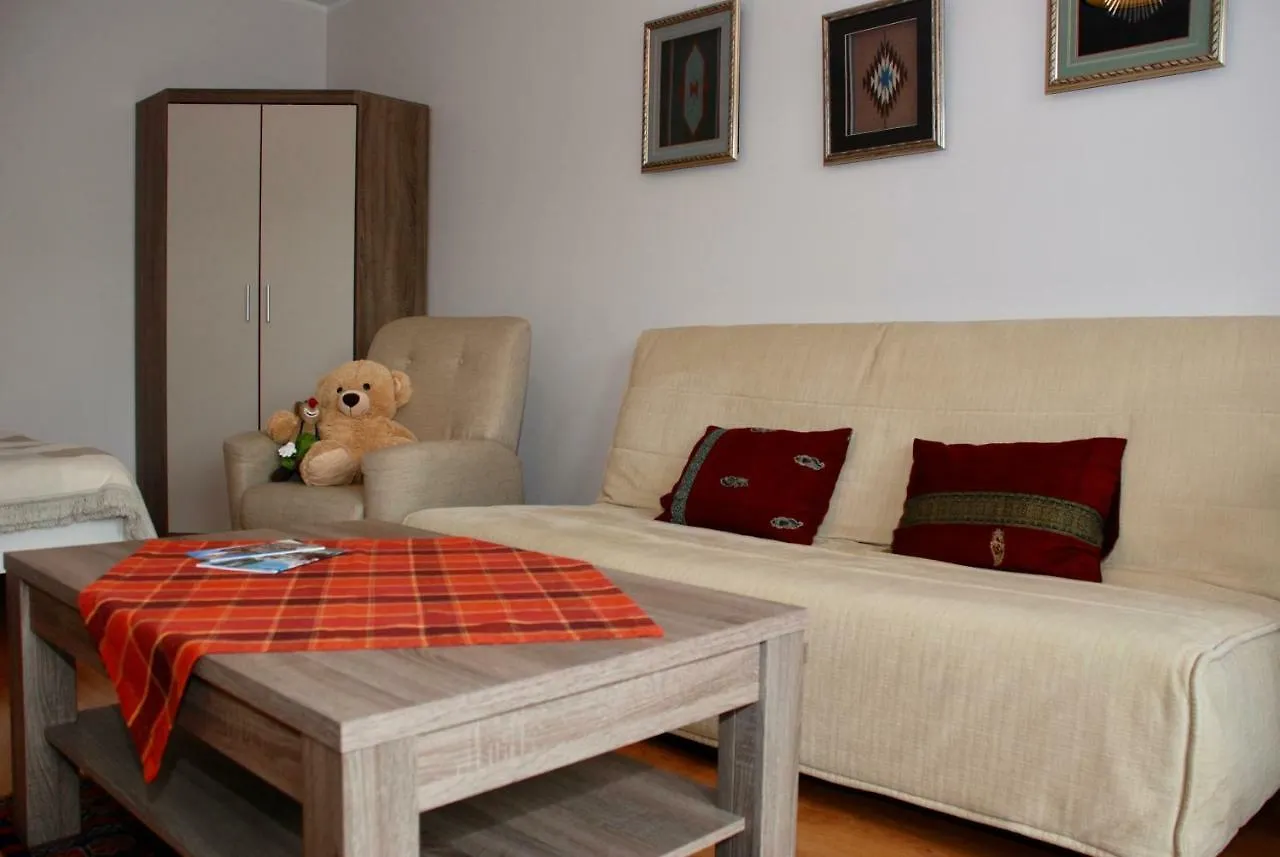 Apartment Amur 克拉科夫